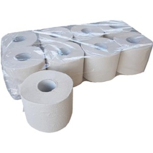239348 2393 23934 europroducts papier papieren toilet toiletpapier toiletpapieren wc wc-papier wcpapier 2-laags 400 vellen pak 6 x 8 rollen 8719874870894 wit ecologisch