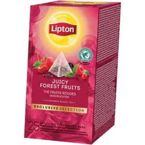 46842 4684 company lipton tea thee bosvruchten exclusive selection doos 25 zakjes 288195 899992 046842 8718114995151 8718114895970 niet van toepassing warme dranken